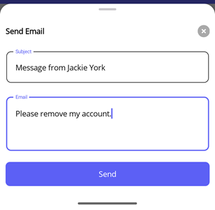 Send Email Panel