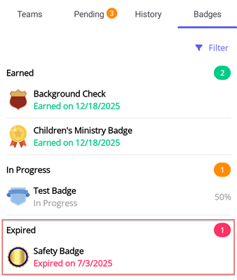 Expired Badges List