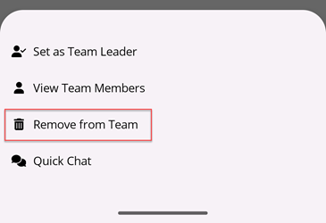 Remove from Team Button