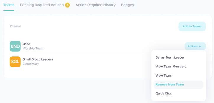 Remove from Team Button