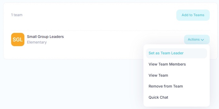 Add Team Leader Button